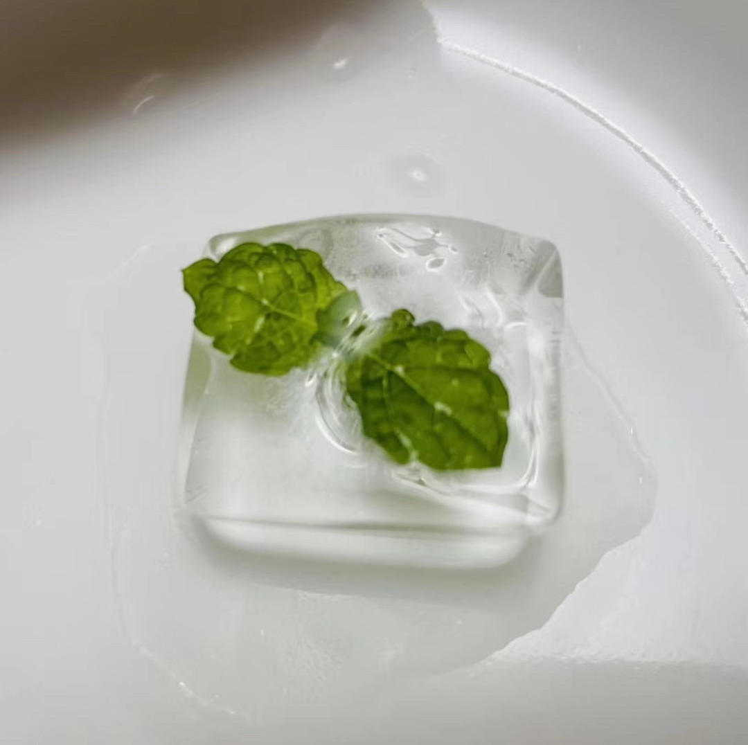 新鲜薄荷叶保存