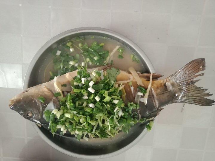 清蒸鱼