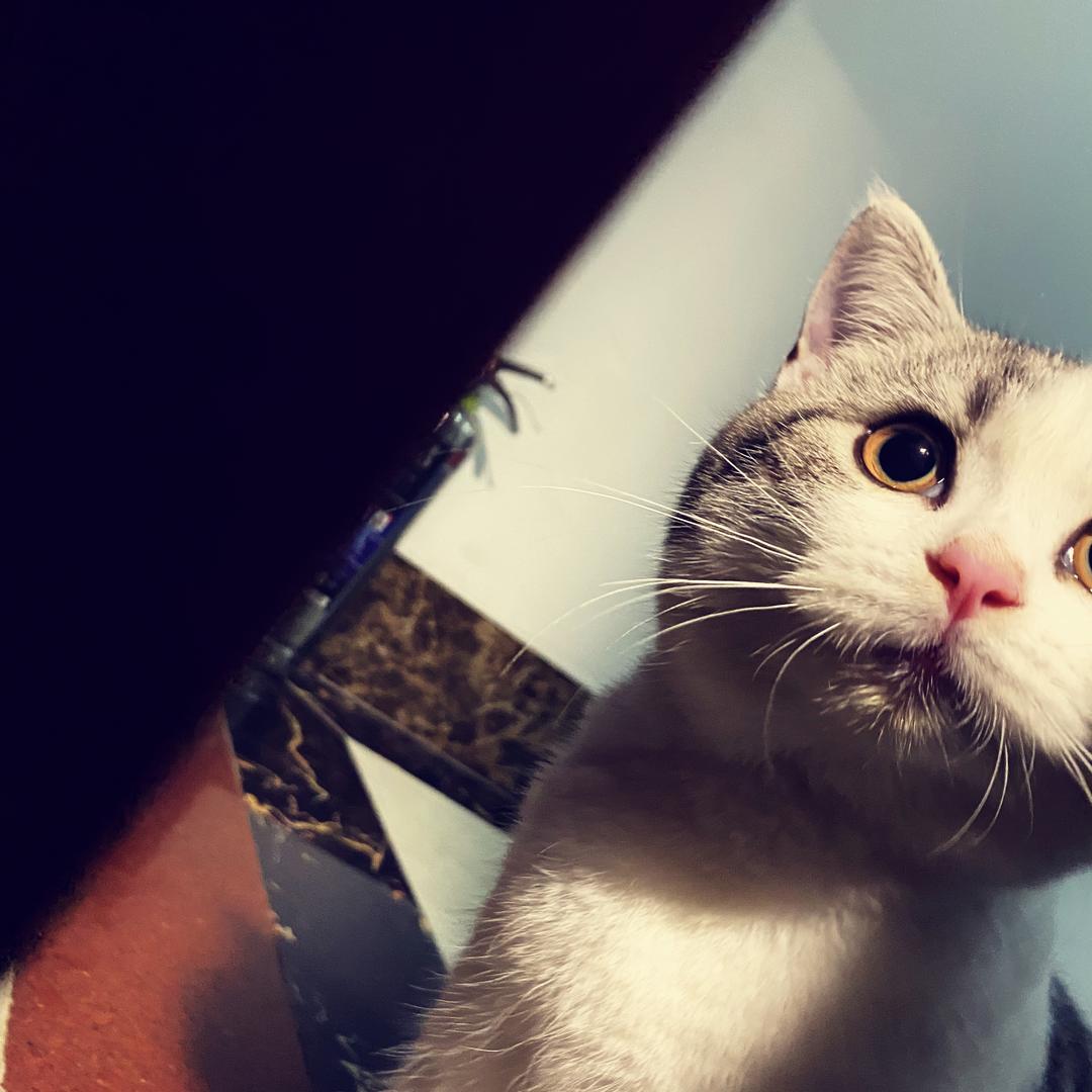 何以解忧韦有购物