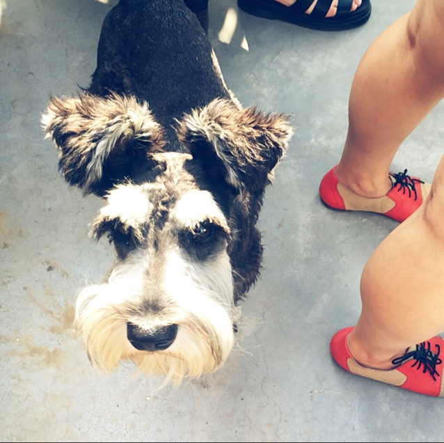 天台烧烤趴，物业知道嘛？