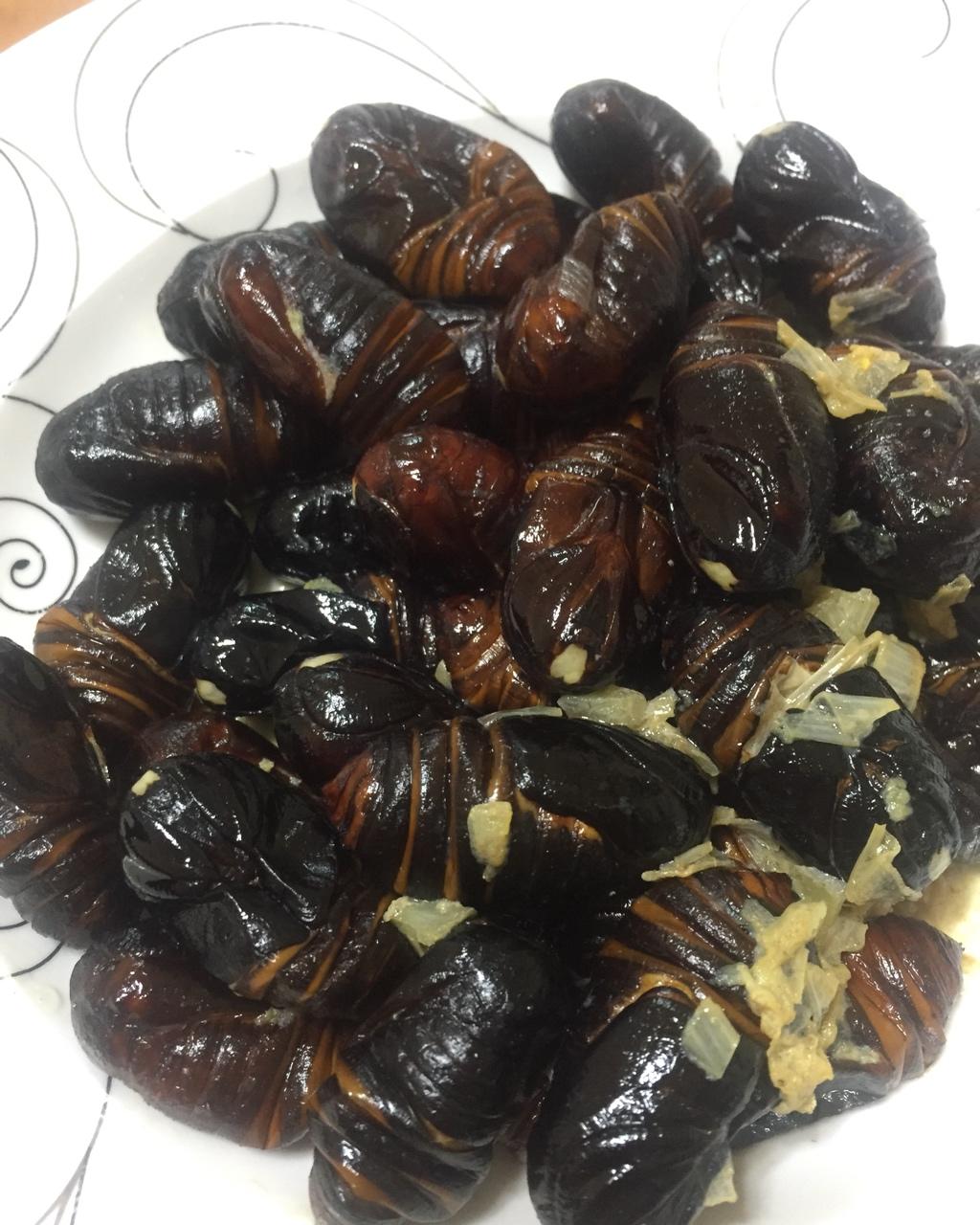 家常炒茧蛹
