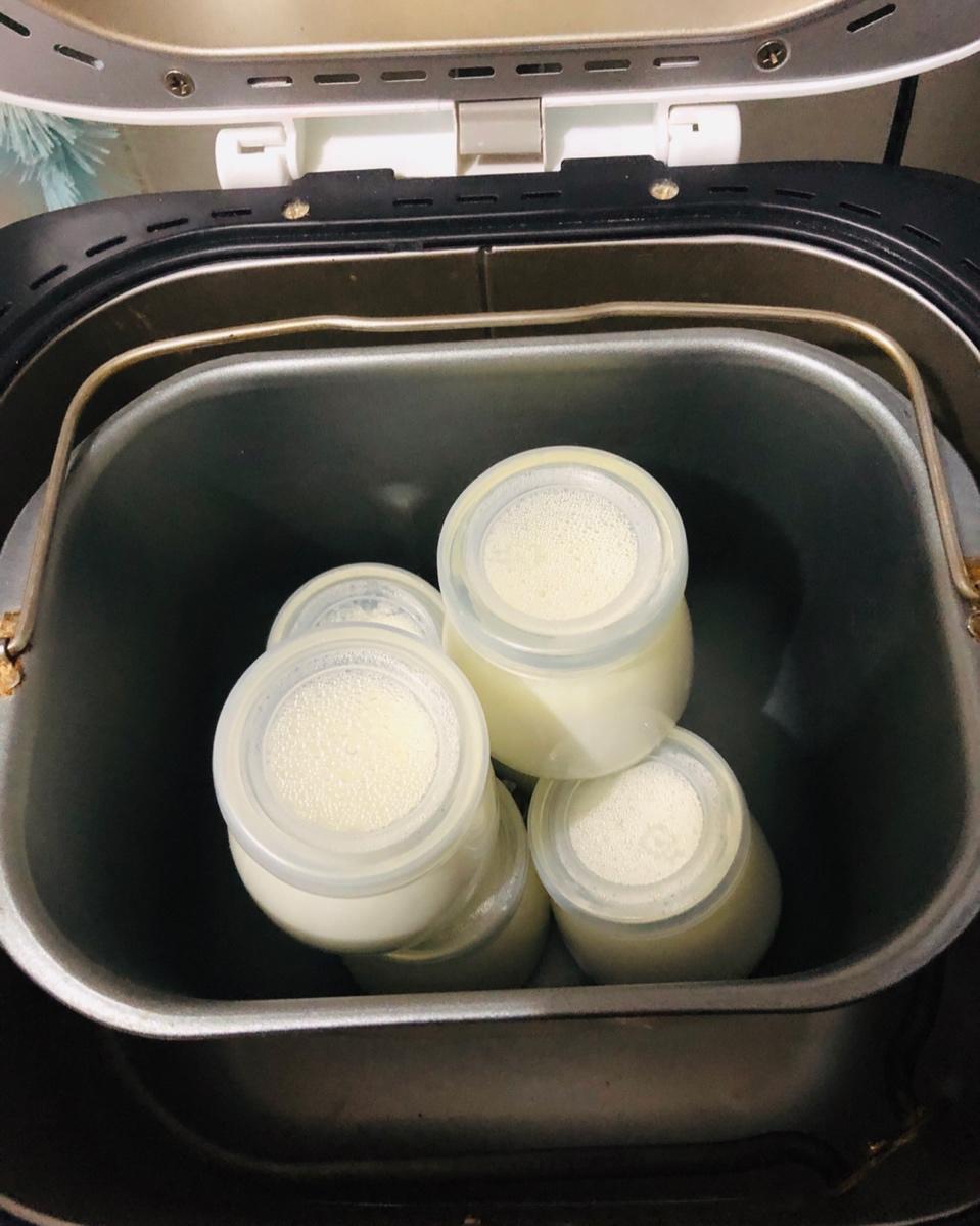 自制酸奶（奶粉版）