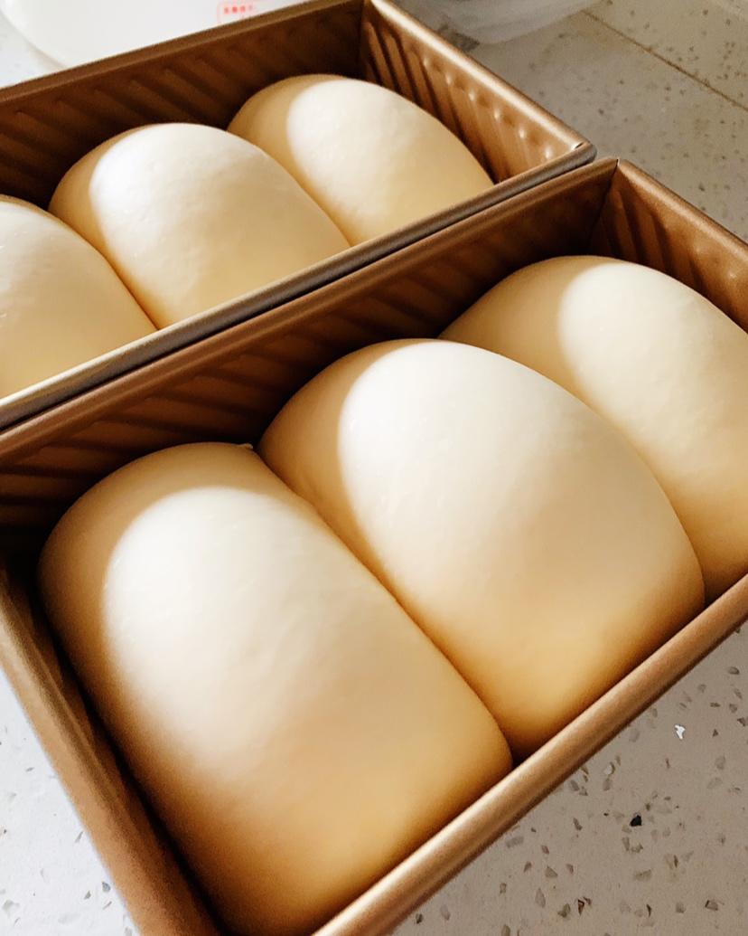 夺命软吐司(๑´ڡ`๑)超软拉丝极速方便的一次发酵吐司