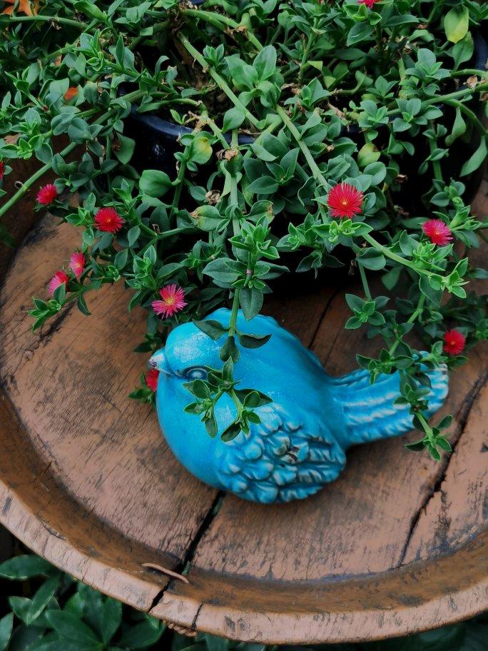 南瓜小馒头 袖珍可爱 不需要特殊的整形手法 新手一看就会 附细节视频详解