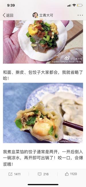 韭菜猪肉三鲜水饺/立青大可的做法 步骤8