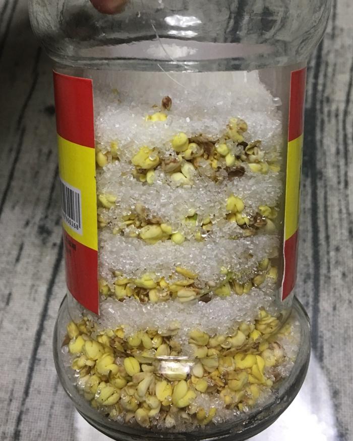 自制糖桂花