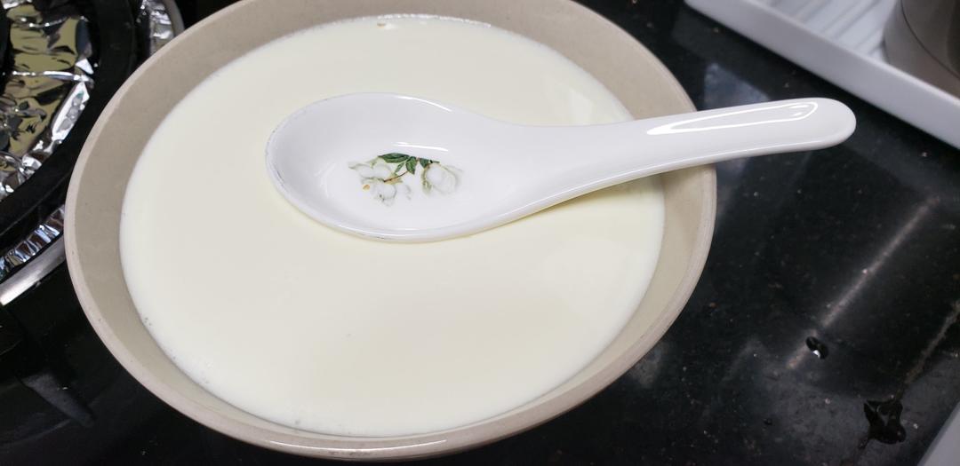 姜撞奶（零失败 估计这是最详细的姜撞奶教程了）