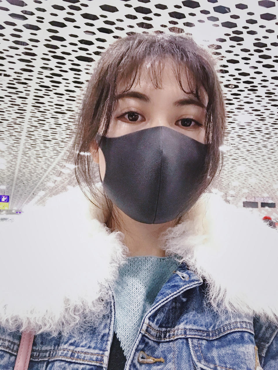 天天喊减肥的肉球