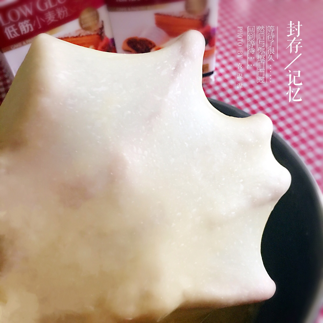 超轻松快速揉面法（后酵母静置法）