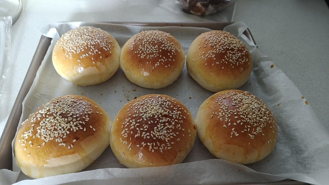 汉堡胚(超详细)