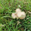 李李李李哩哩哩