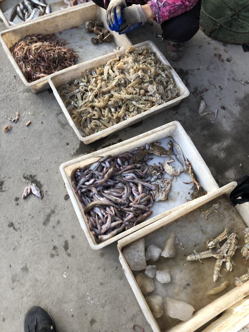 记录我做过的海鲜们
