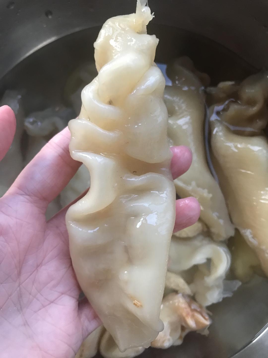 花胶泡发初体验