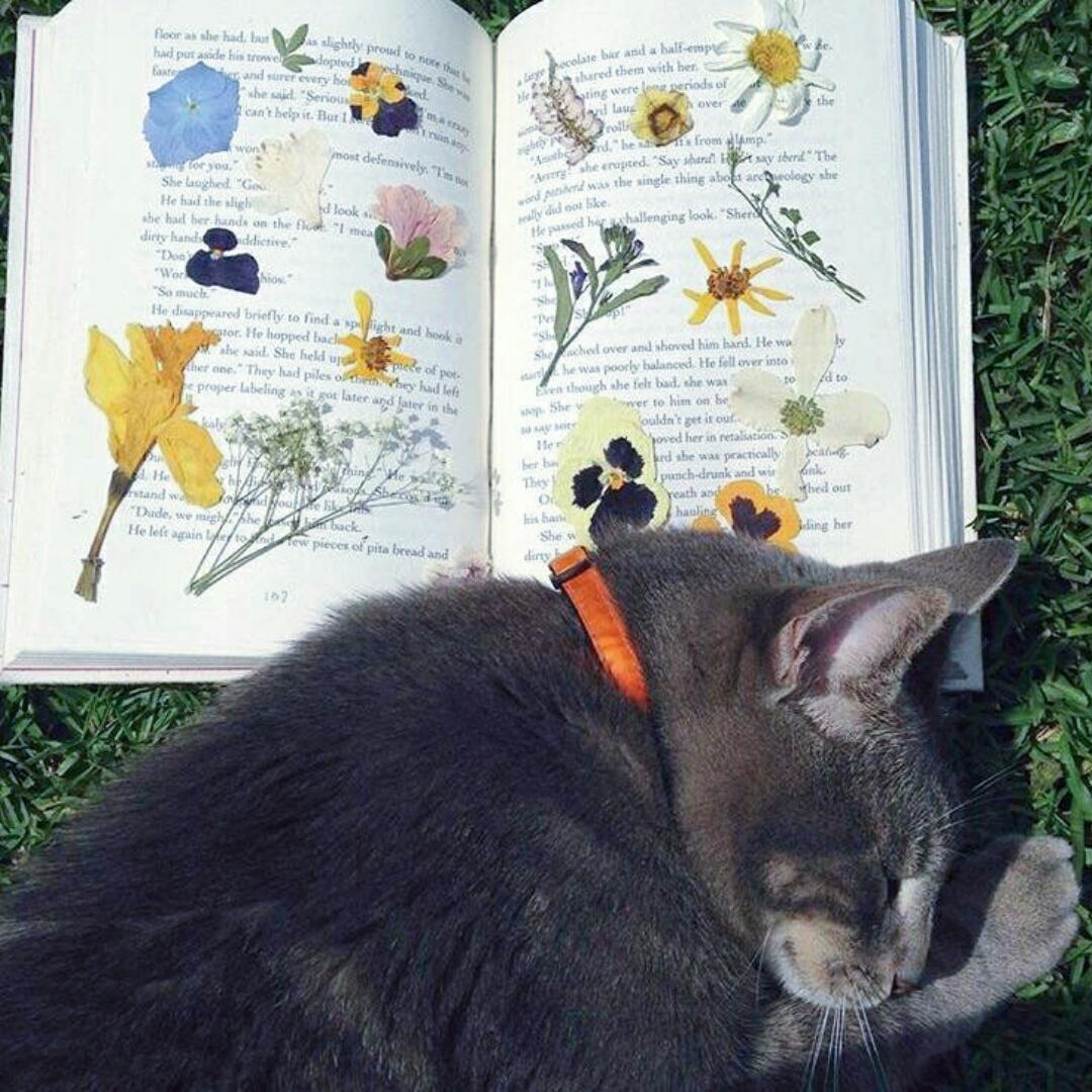 我麻麻做饭敲好次