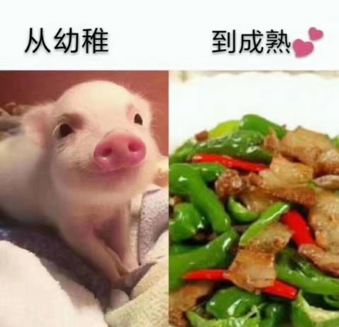 敬雅