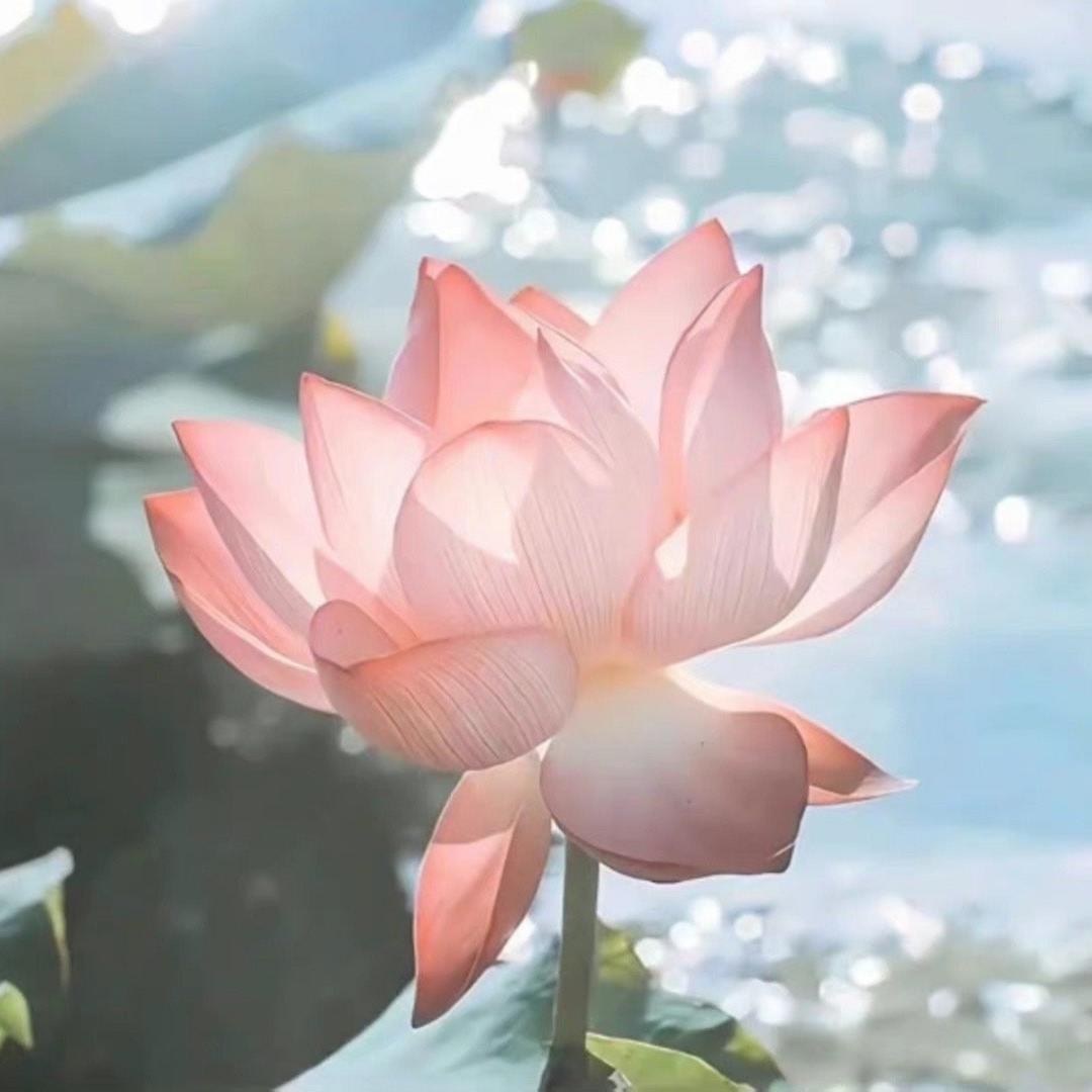 阿兹卡班大厨师