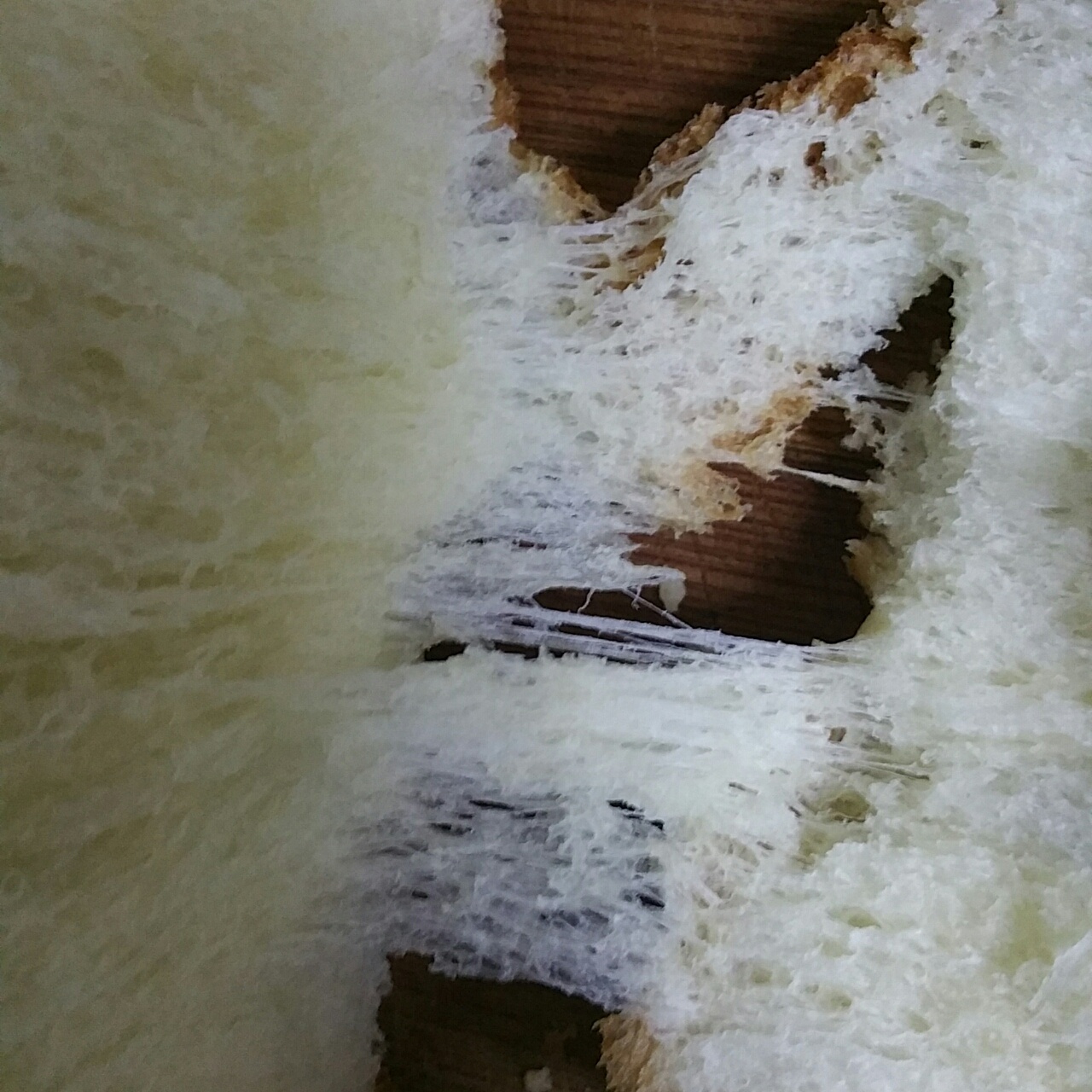 维也纳吐司～一款健康无糖吐司