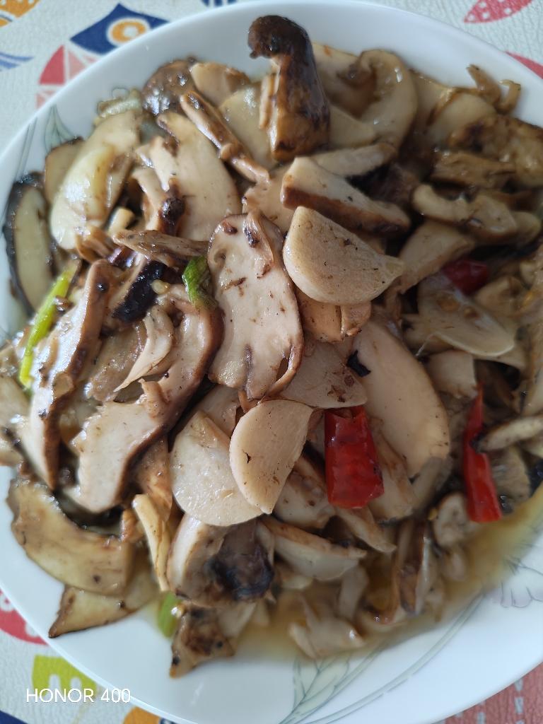 在家也能吃鲜美的菌子-爆炒香煎姬松茸-葱香姬松茸-鲜掉眉毛-快速家常菜