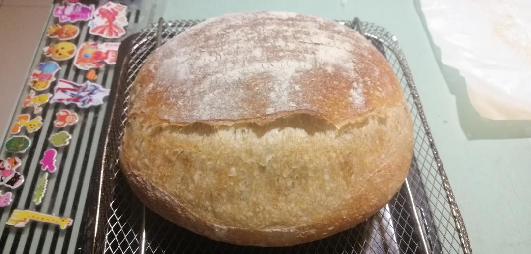 波兰种欧包丨干酵母进阶版