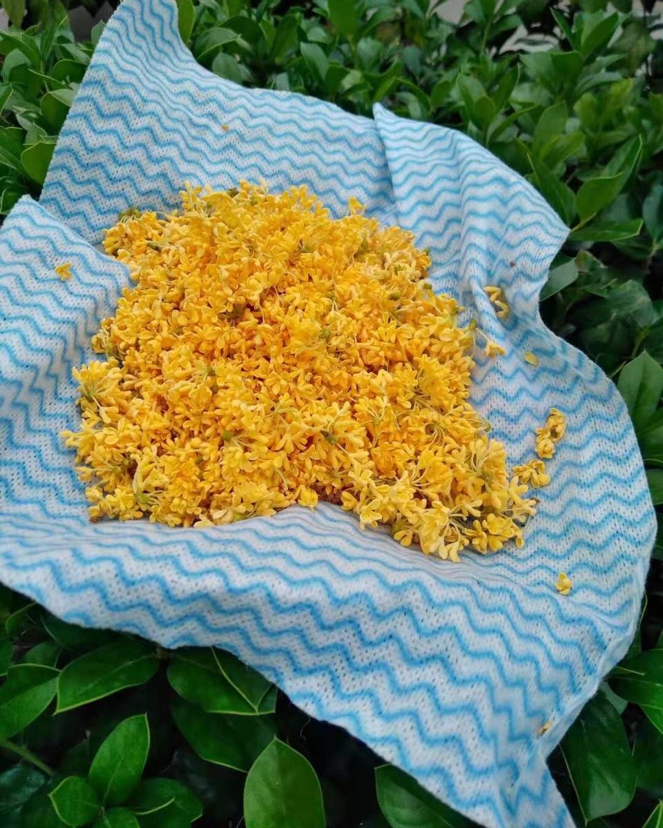 自制桂花蜜酱