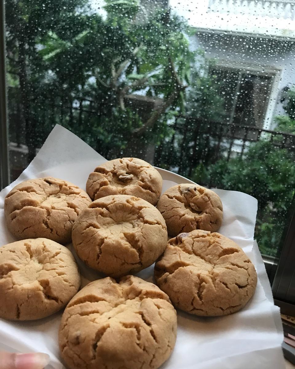 一试就知道好不好的桃酥（猪油版）