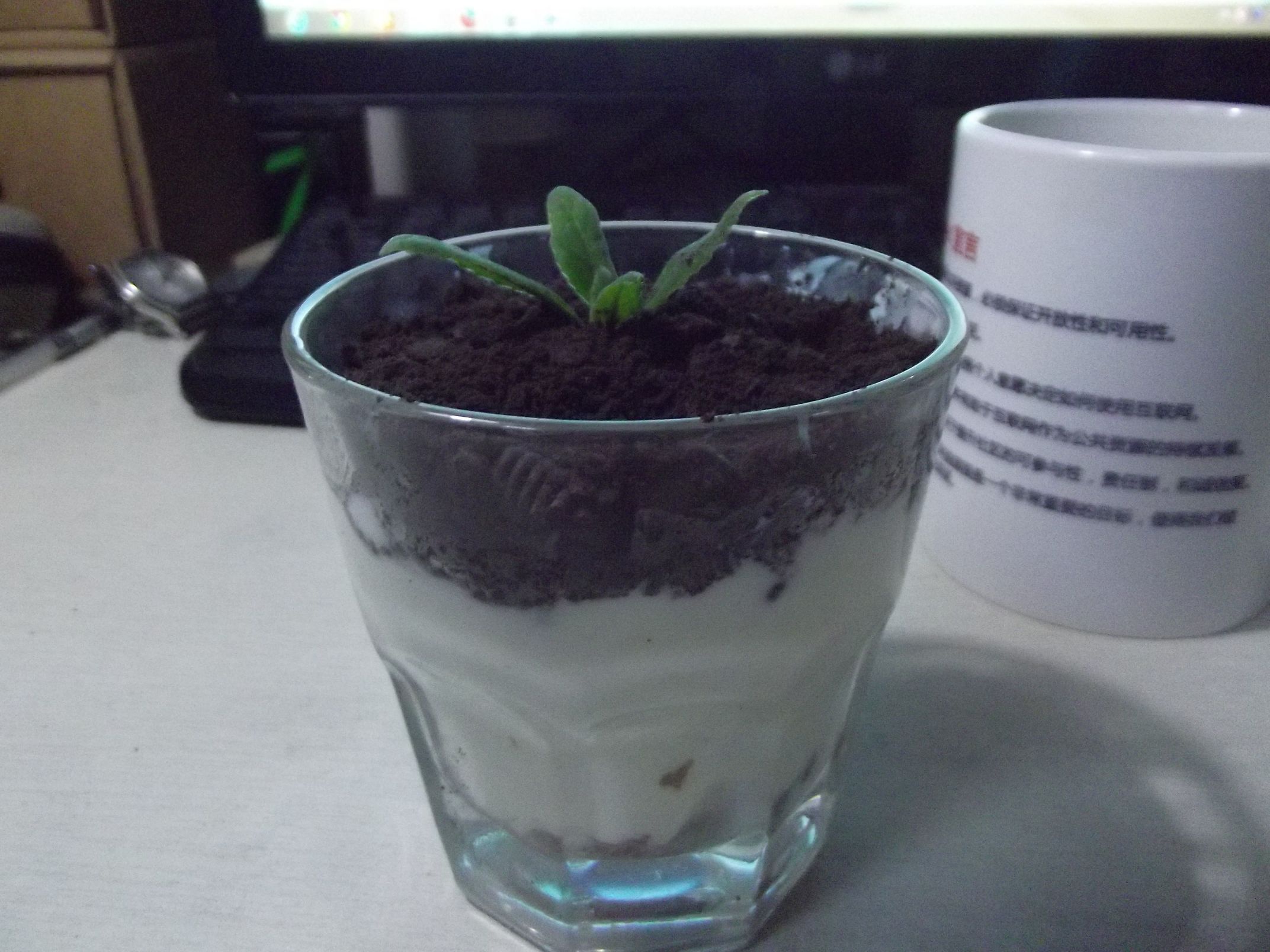 酸奶盆栽/继续延续小清新风/治愈系甜品