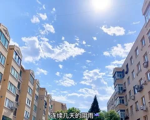 茄汁爆浆小龙虾🦞饭