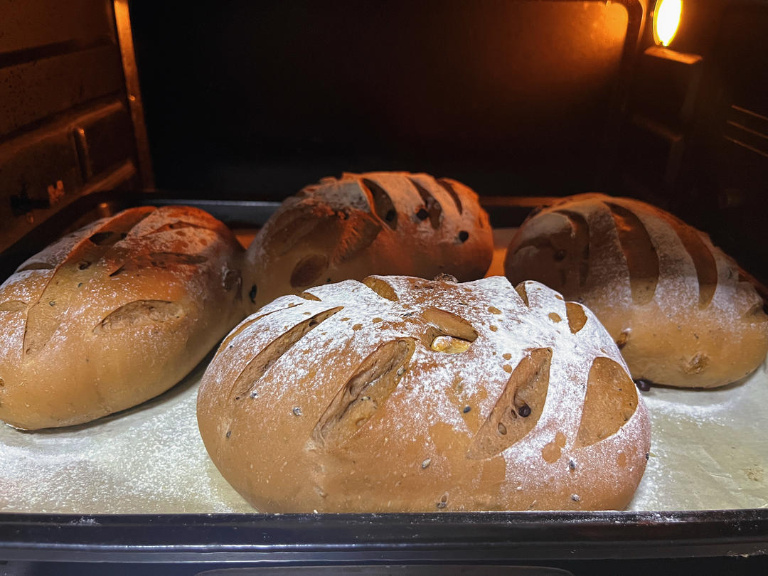 黑麦蔓越莓软欧包