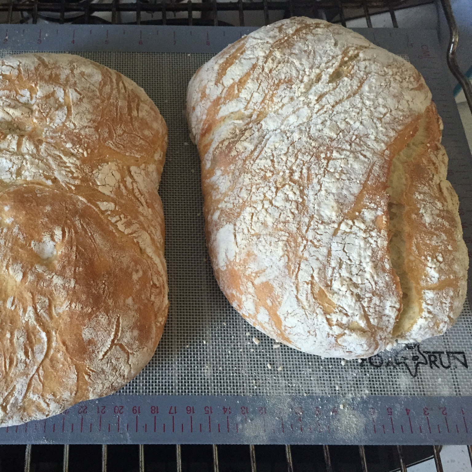 【保罗教你做面包】 夏巴塔 Ciabatta