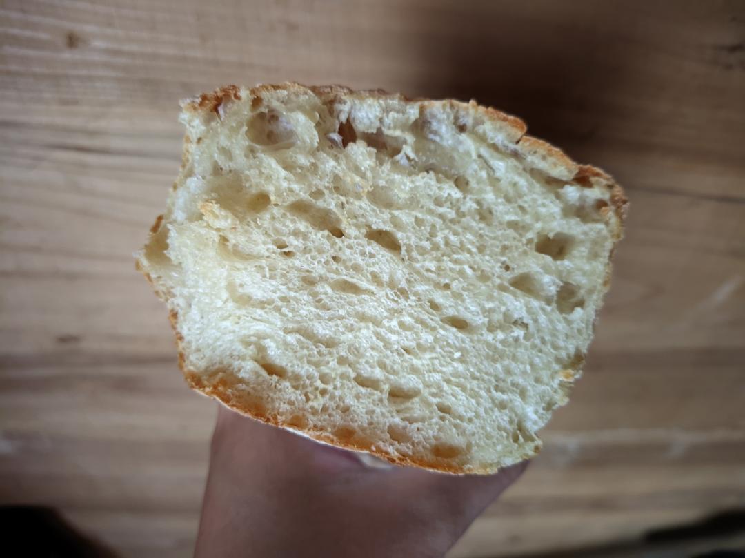 欧包的秘密（免揉/大孔洞/核桃/超简单）