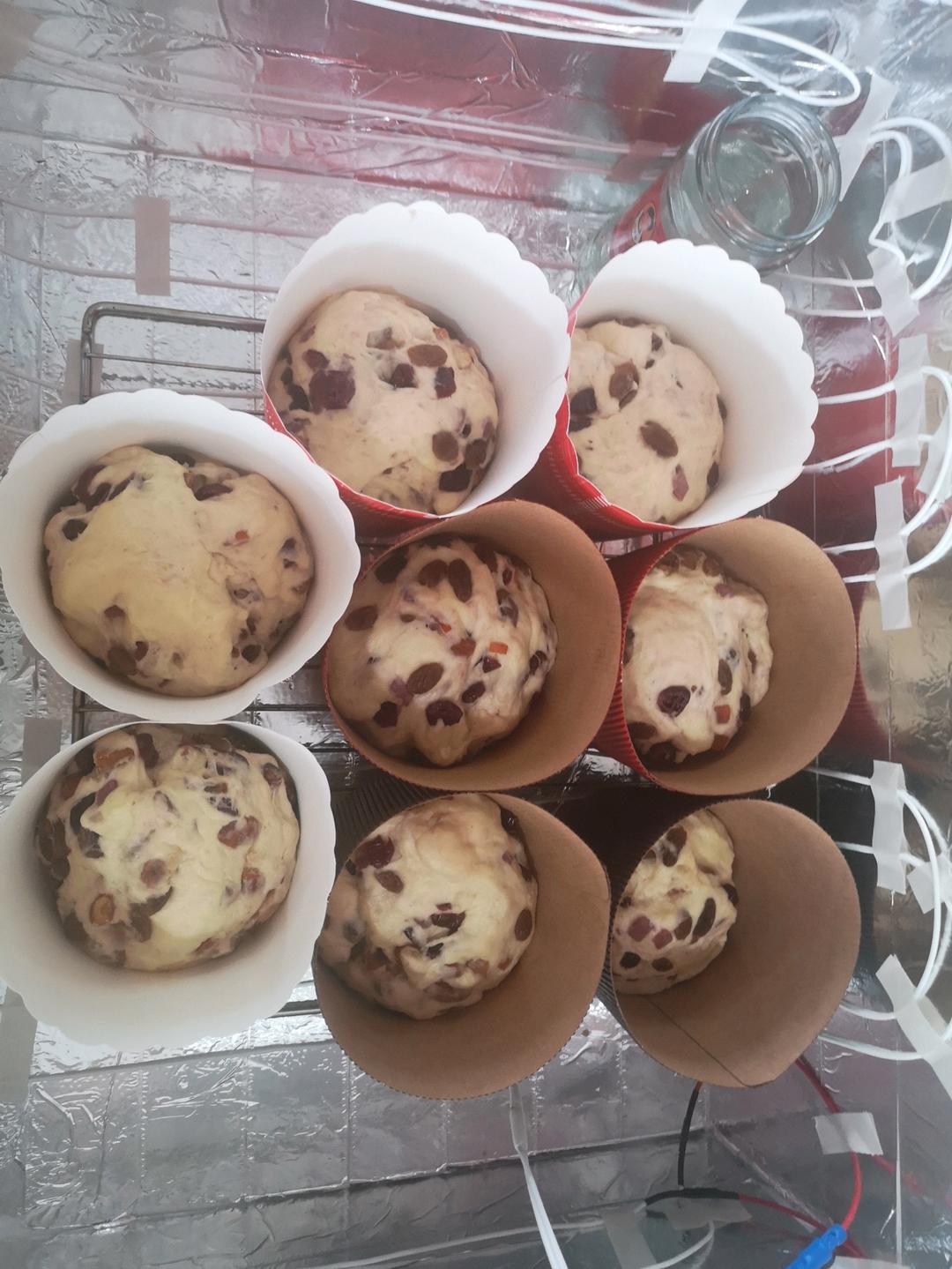 圣诞面包--潘娜托尼Panettone