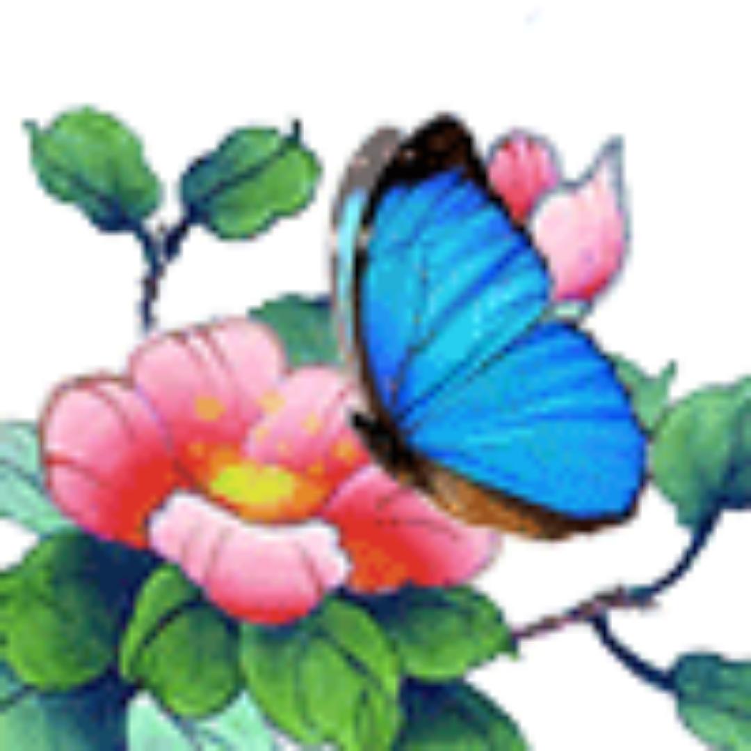 蓉树下的小石头