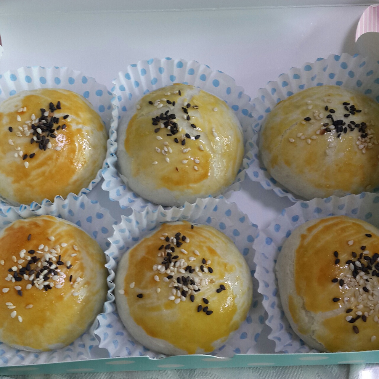 泳式鲜肉榨菜月饼