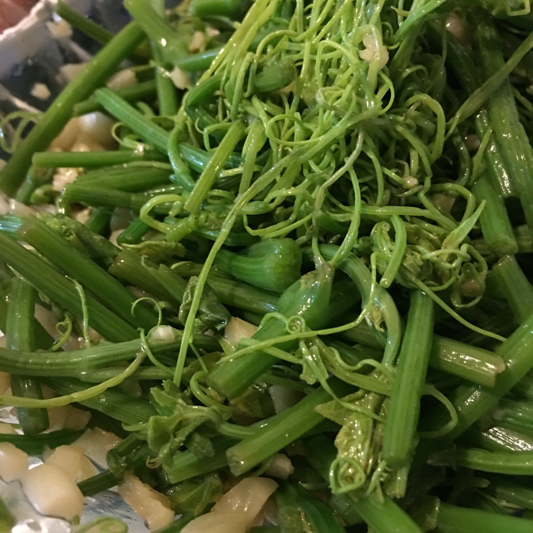 凉拌龙须菜