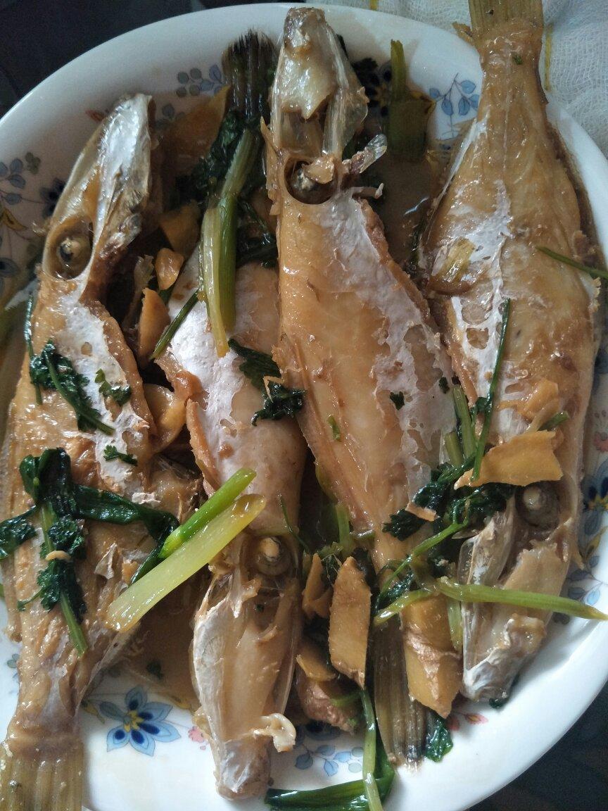 鱼普宁豆酱焖竹仔鱼焖首页登录注册作品动态菜单查看全部分类百香果9