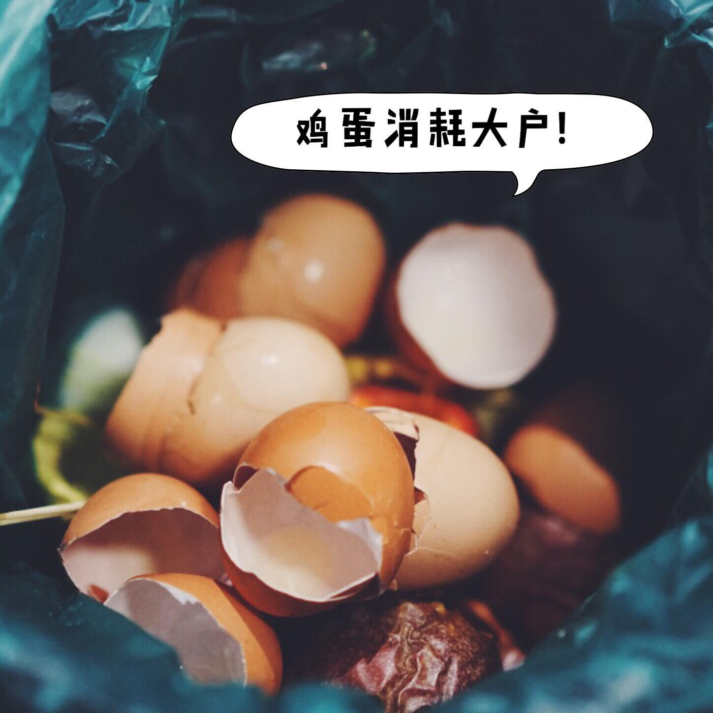 相机吃的菜哦(◍•ᴗ•◍)