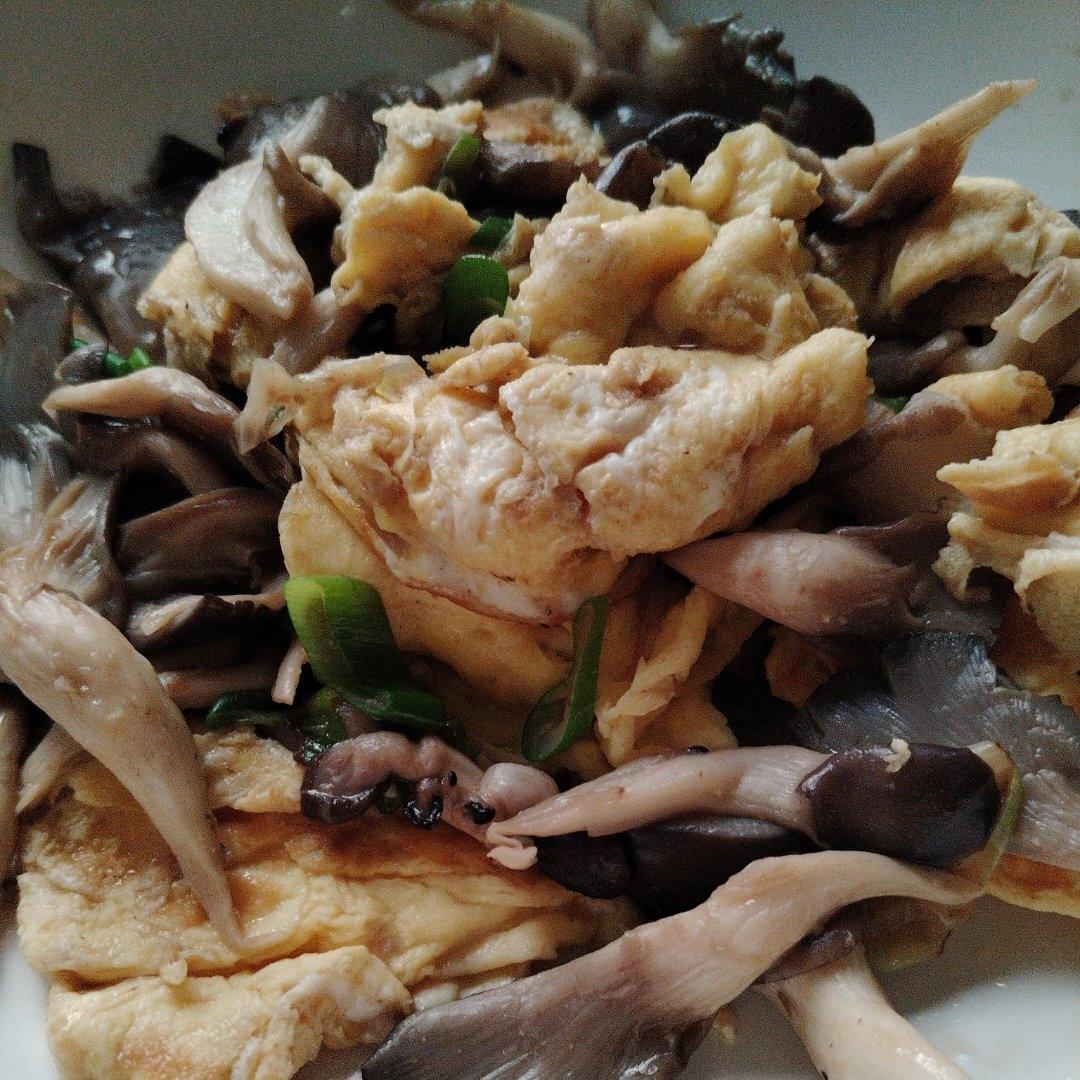蘑菇炒鸡蛋	平菇这样炒，鲜美无比巨好吃