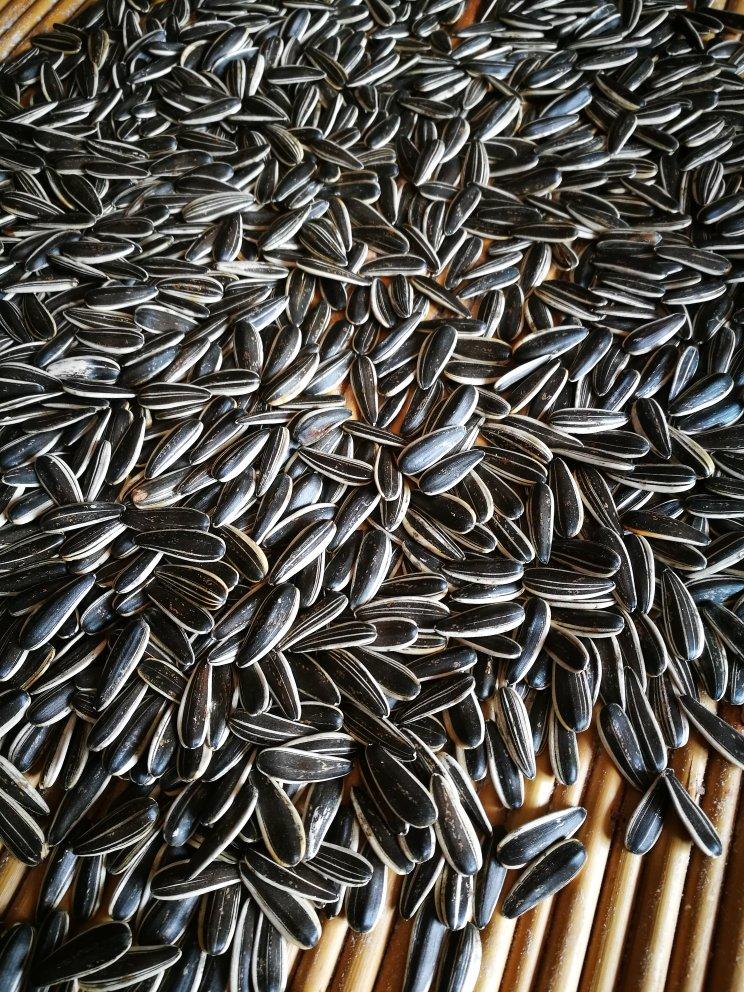 liupl做的烤箱版炒瓜子