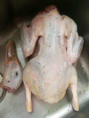 薏米冬瓜鸭汤和白切鸭肉的做法 步骤1