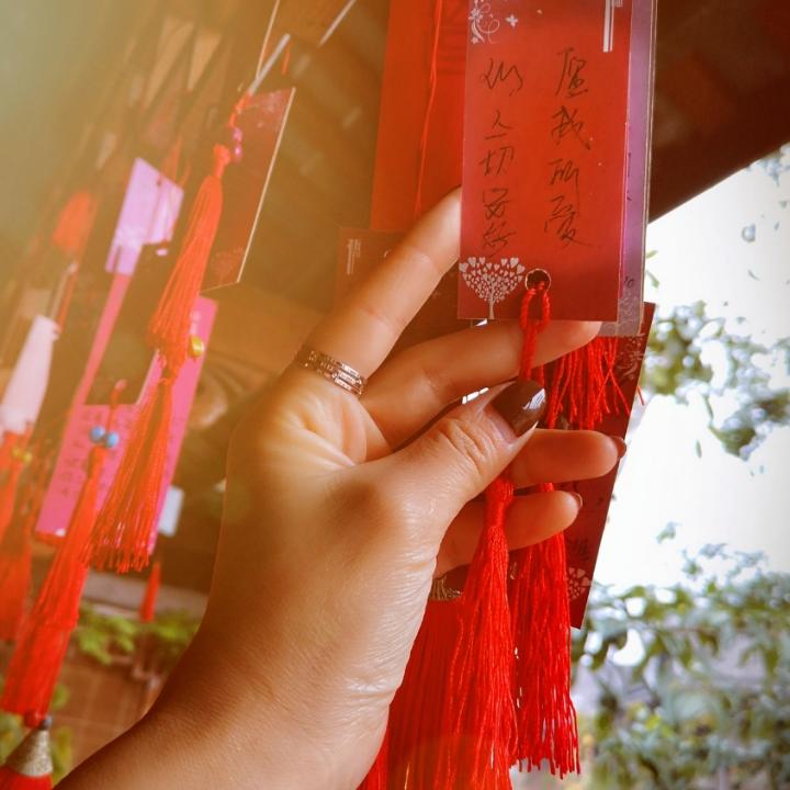 五味杂陈的人生