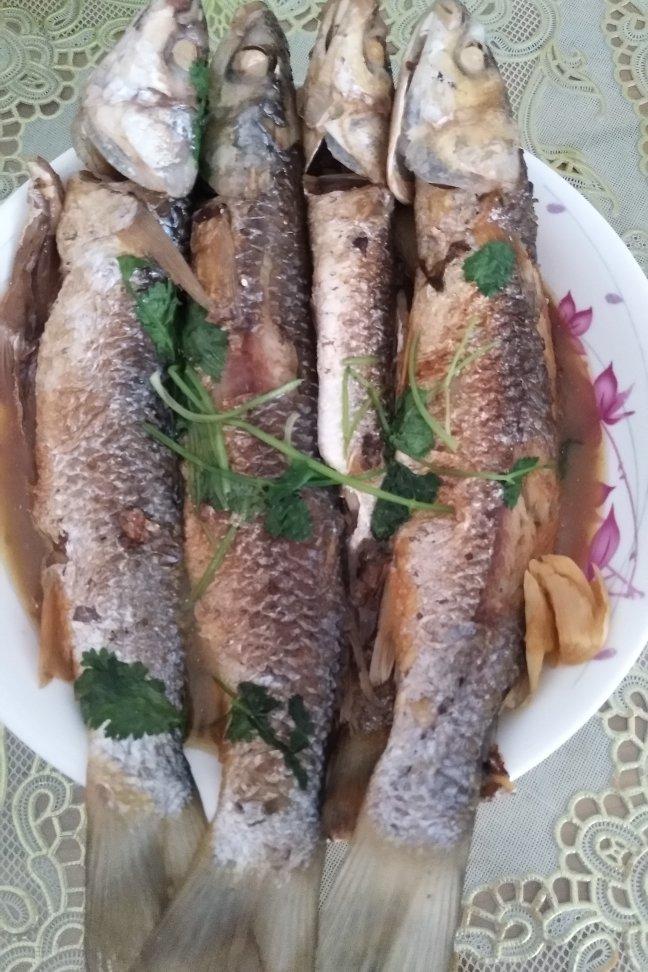 红烧海鲫鱼