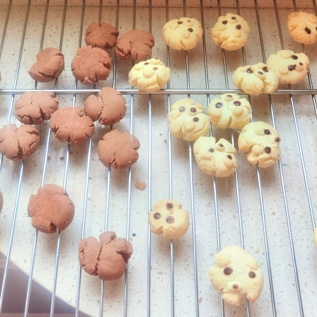 玛格丽特小熊饼干🐻