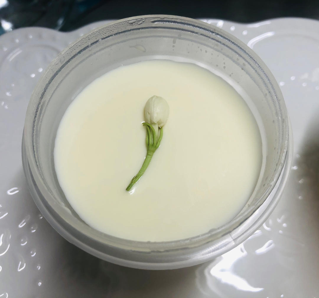吃豆腐啦！——小嶋老师茉莉奶冻