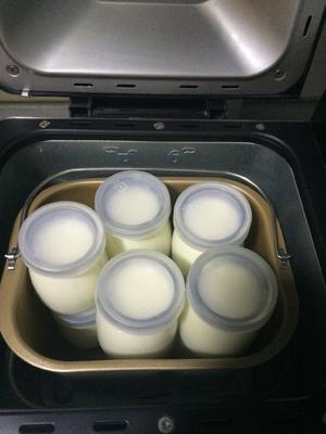 自制酸奶（面包机版）的做法 步骤3