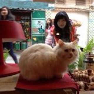 teemo_pumpkin