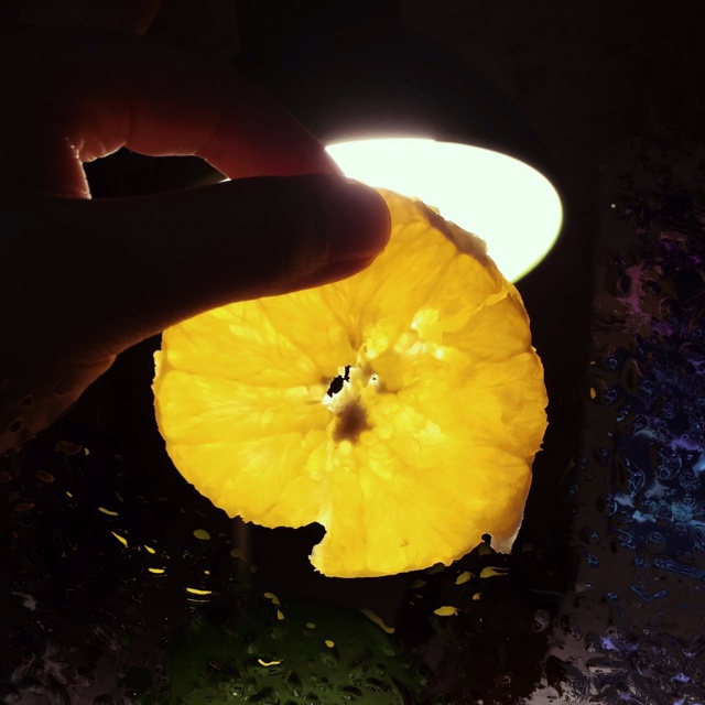 从此爱上切橙子