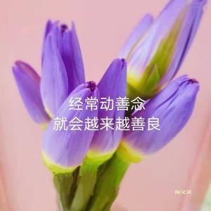 苦瓜炒鸡枞菌💐的做法 步骤2