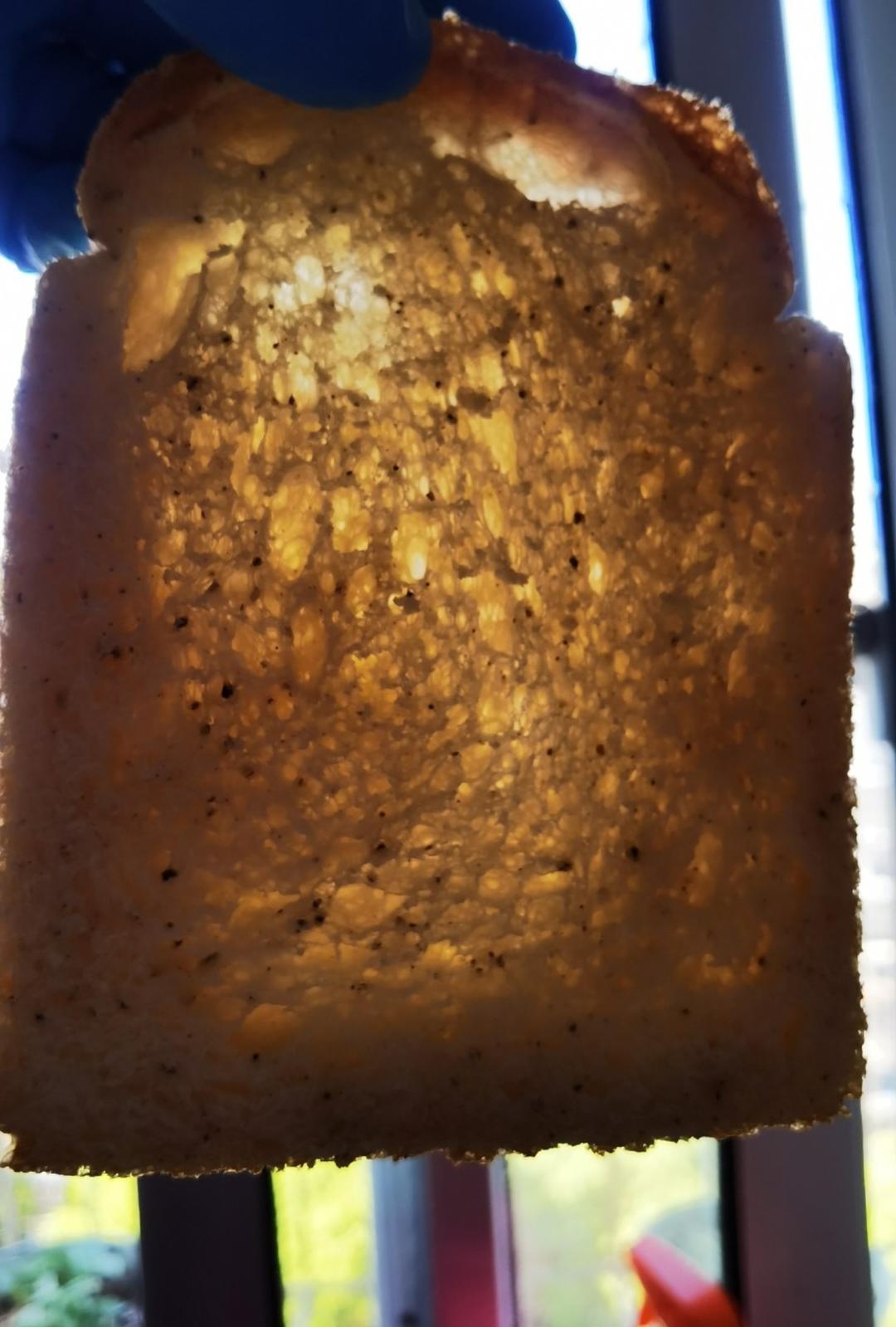 鲁邦种椒盐庞多米-超详细视频