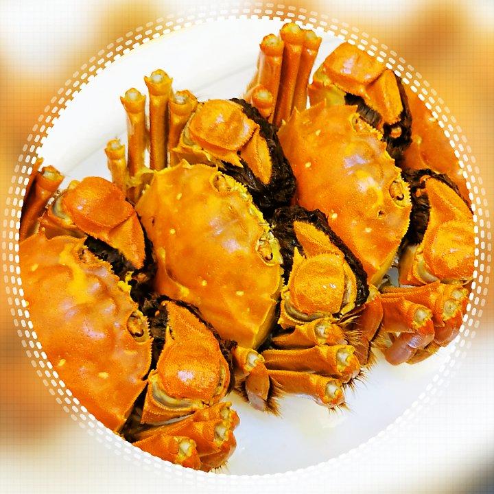 清蒸大闸蟹