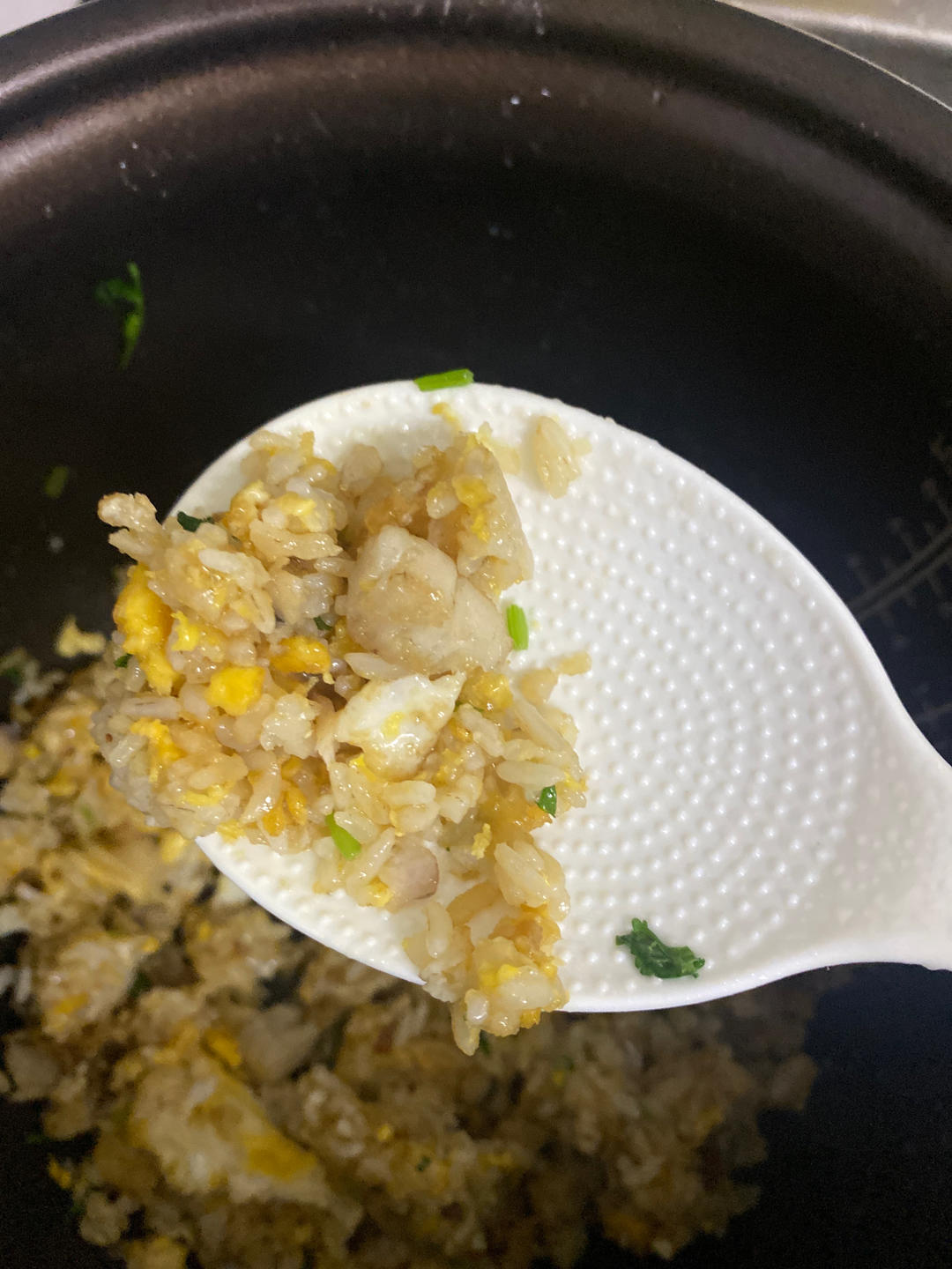 阳江马鲛鱼炒饭
